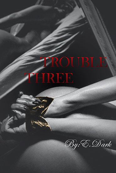 cover13